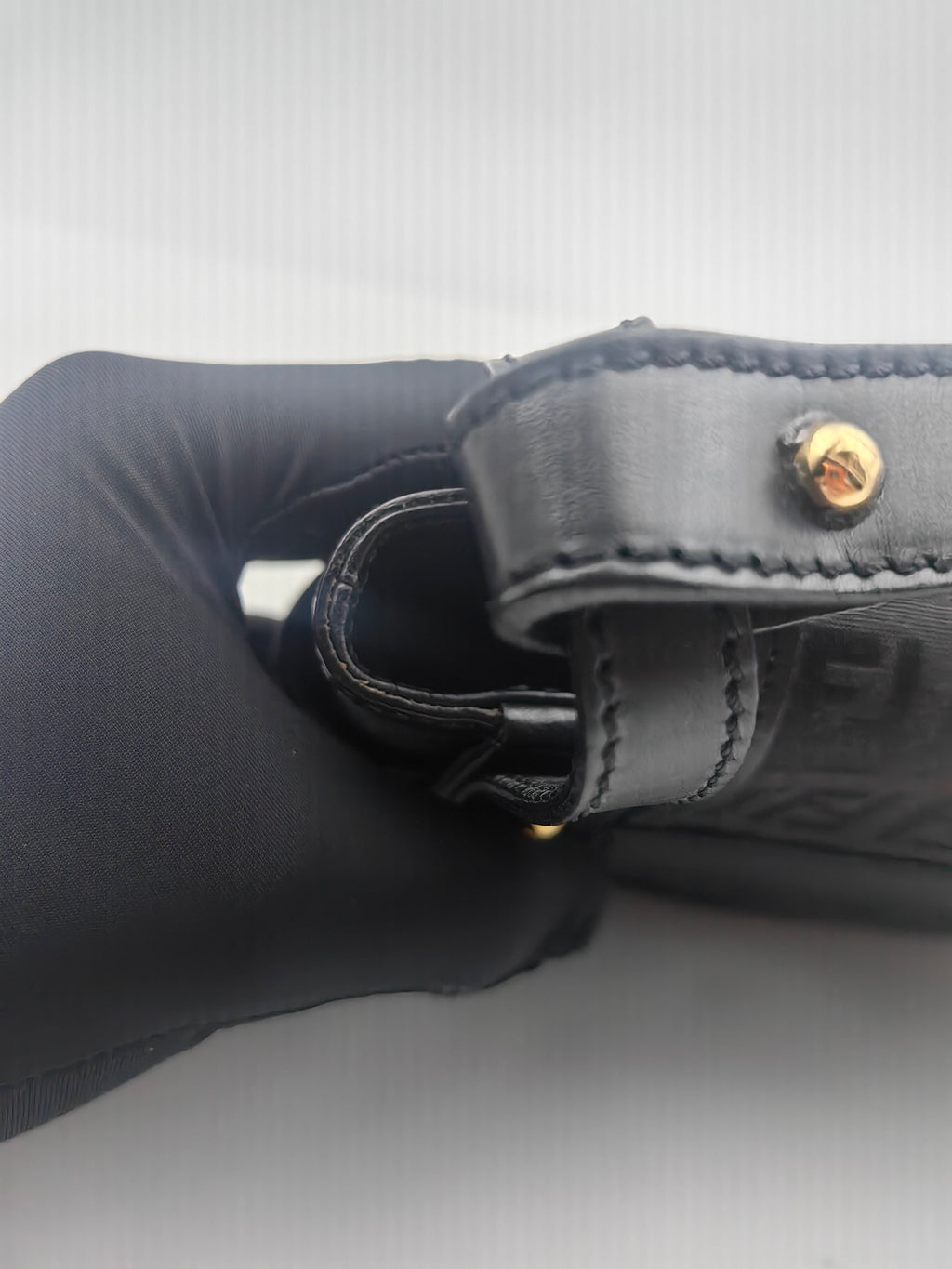 Fendi Canvas Black