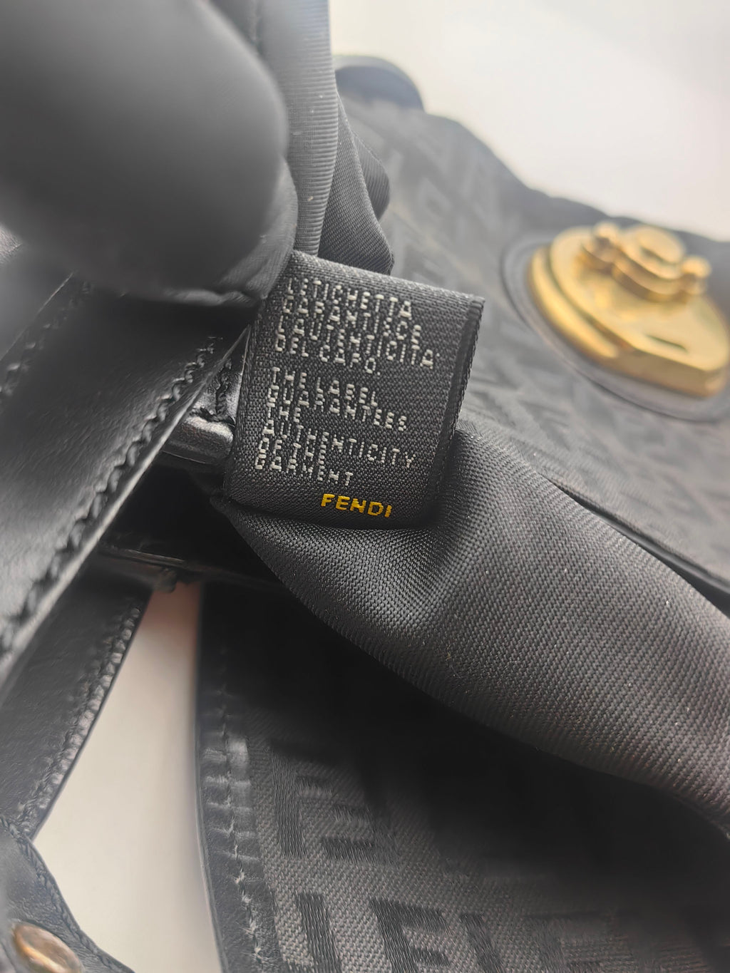 Fendi Canvas Black