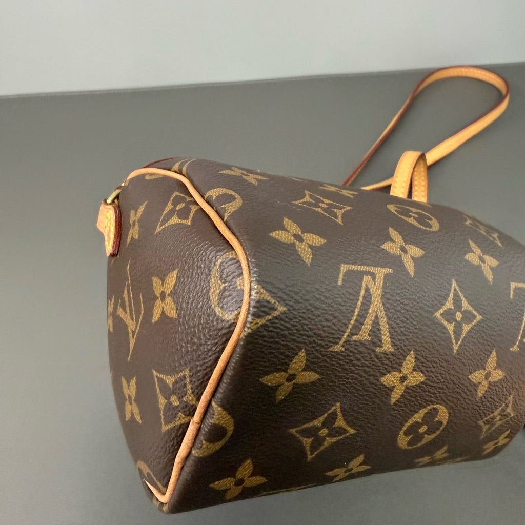 Louis Vuitton Canvas Gold