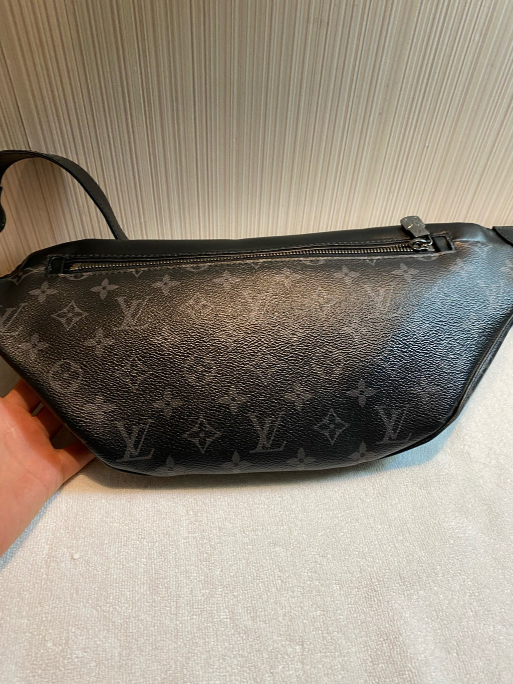 Louis Vuitton Belt Bag & Fanny Pack