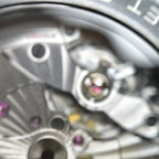 Omega Seahorse Series 45.5 215.92.46.22.01.003