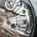 Omega Seahorse Series 45.5 215.92.46.22.01.003