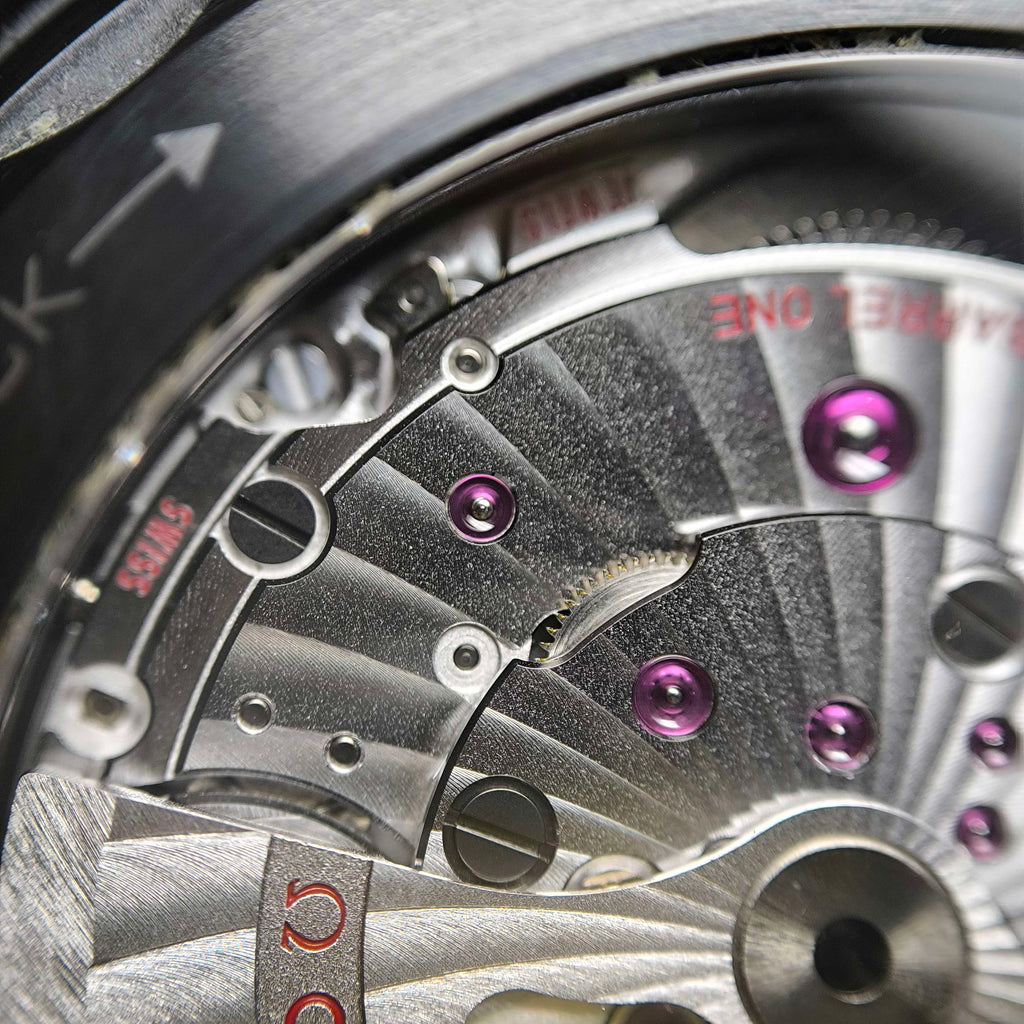 Omega Seahorse Series 45.5 215.92.46.22.01.003