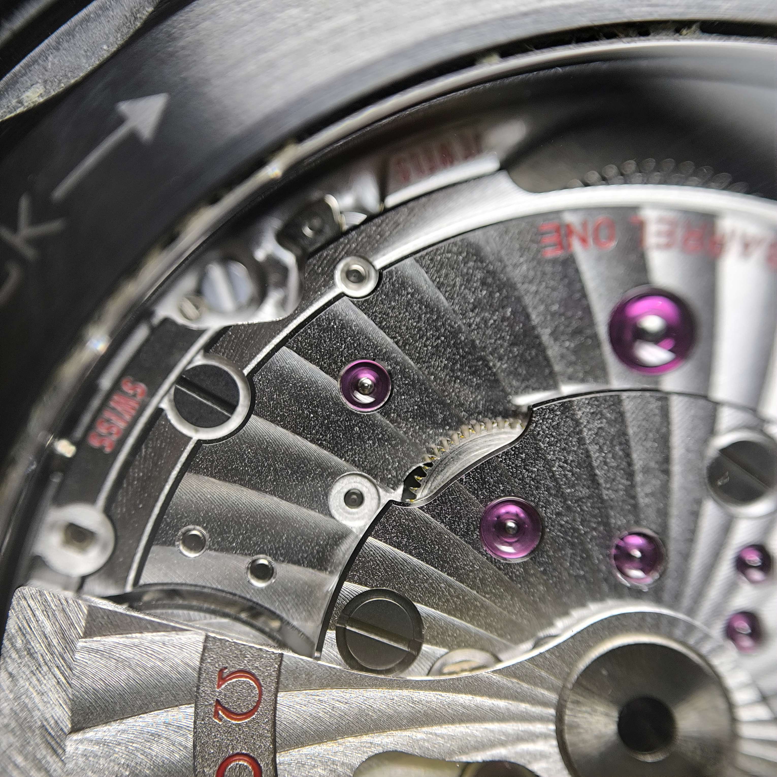 Omega Seahorse Series 45.5 215.92.46.22.01.003