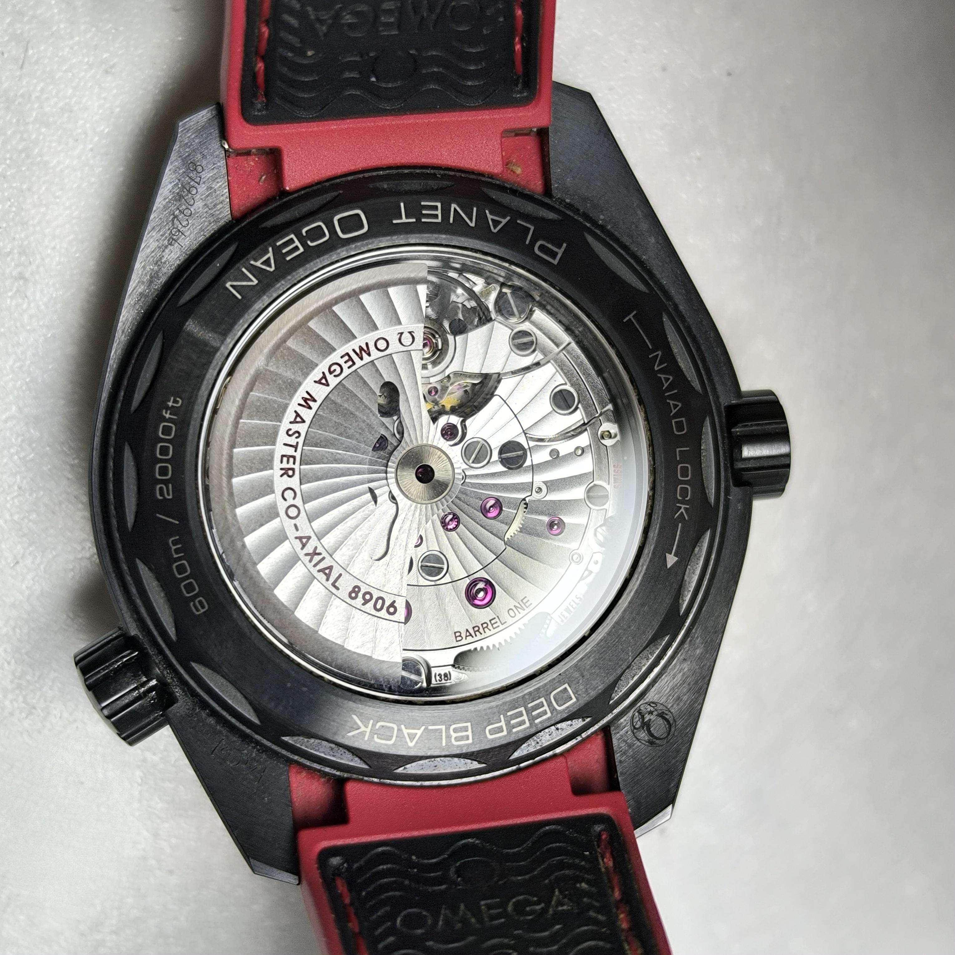 Omega Seahorse Series 45.5 215.92.46.22.01.003