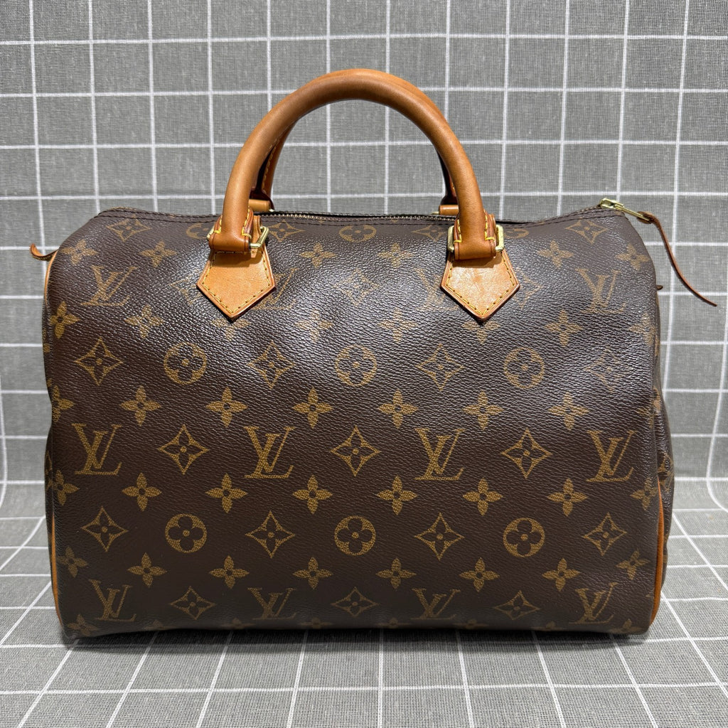 Louis Vuitton Canvas Brown Satchel