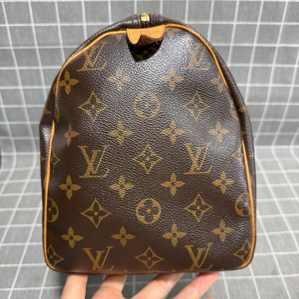 Louis Vuitton Canvas Brown Satchel