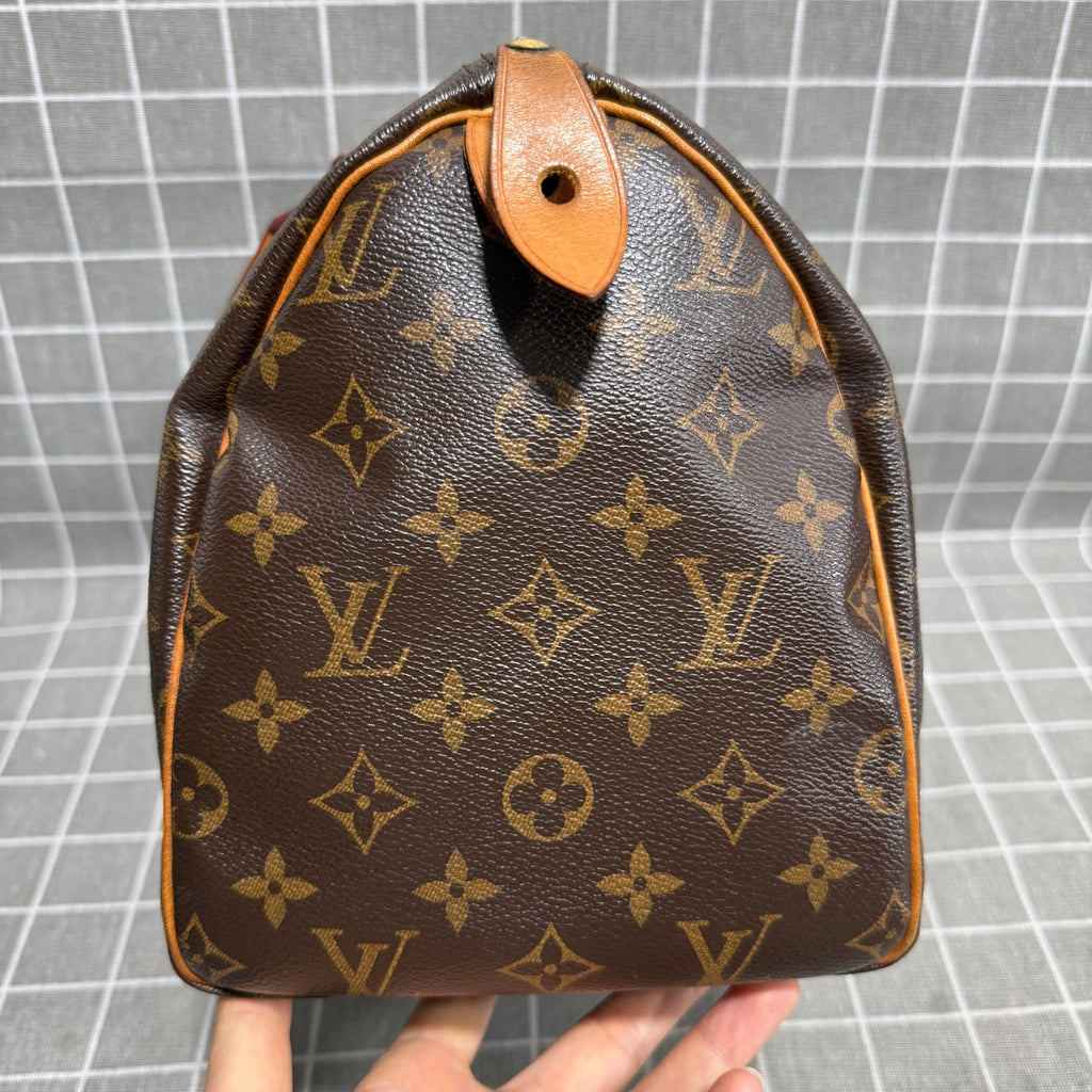 Louis Vuitton Canvas Brown Satchel
