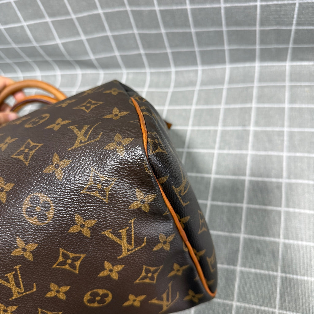 Louis Vuitton Canvas Brown Satchel