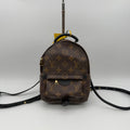 Louis Vuitton Backpack