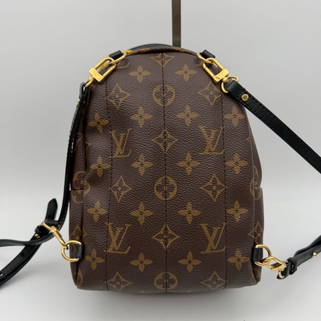 Louis Vuitton Backpack