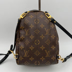 Louis Vuitton Backpack
