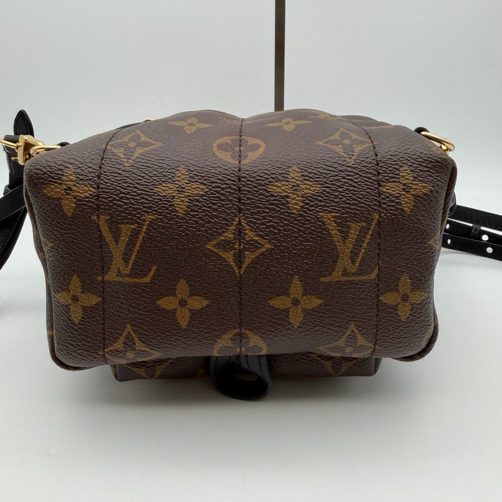 Louis Vuitton Backpack