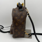 Louis Vuitton Backpack