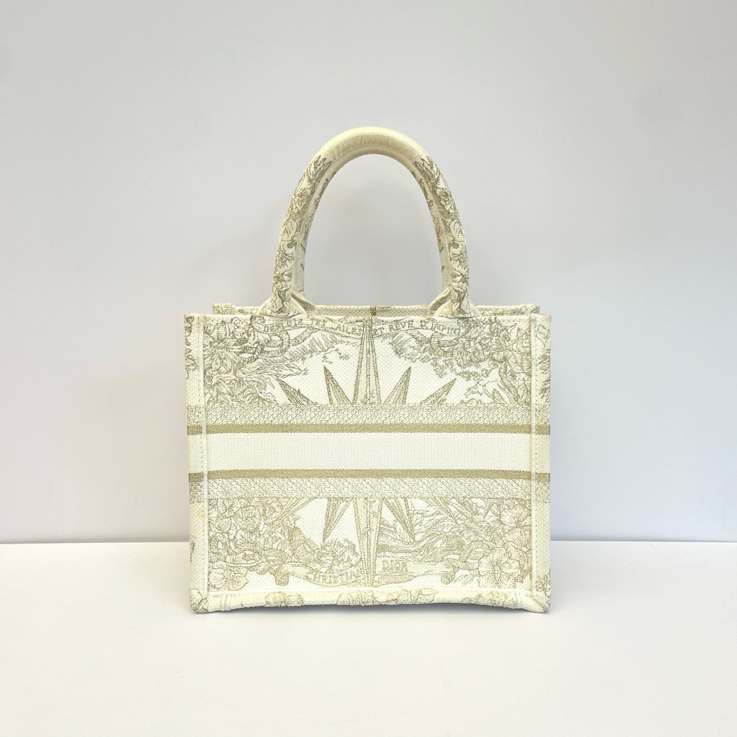 Dior Canvas Gold