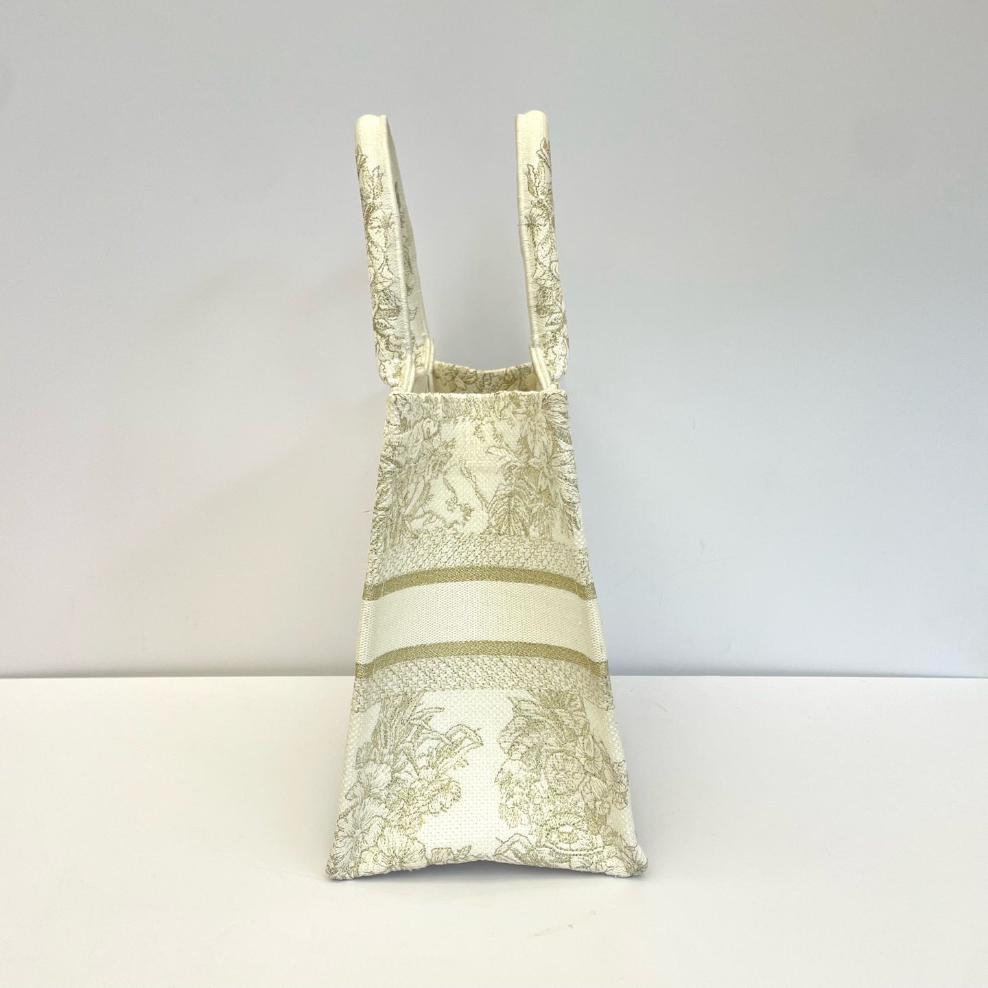 Dior Canvas Gold