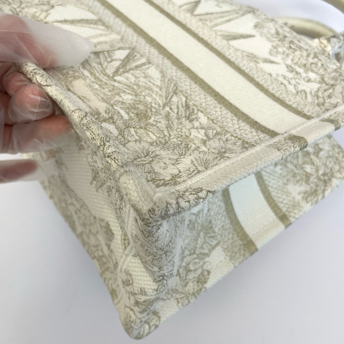 Dior Canvas Gold