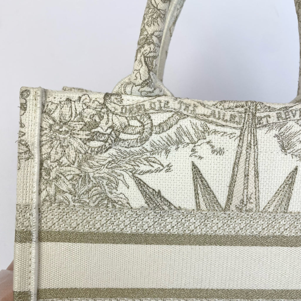 Dior Canvas Gold