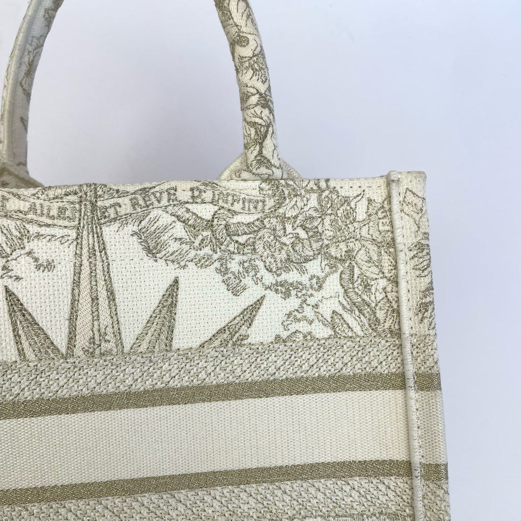 Dior Canvas Gold