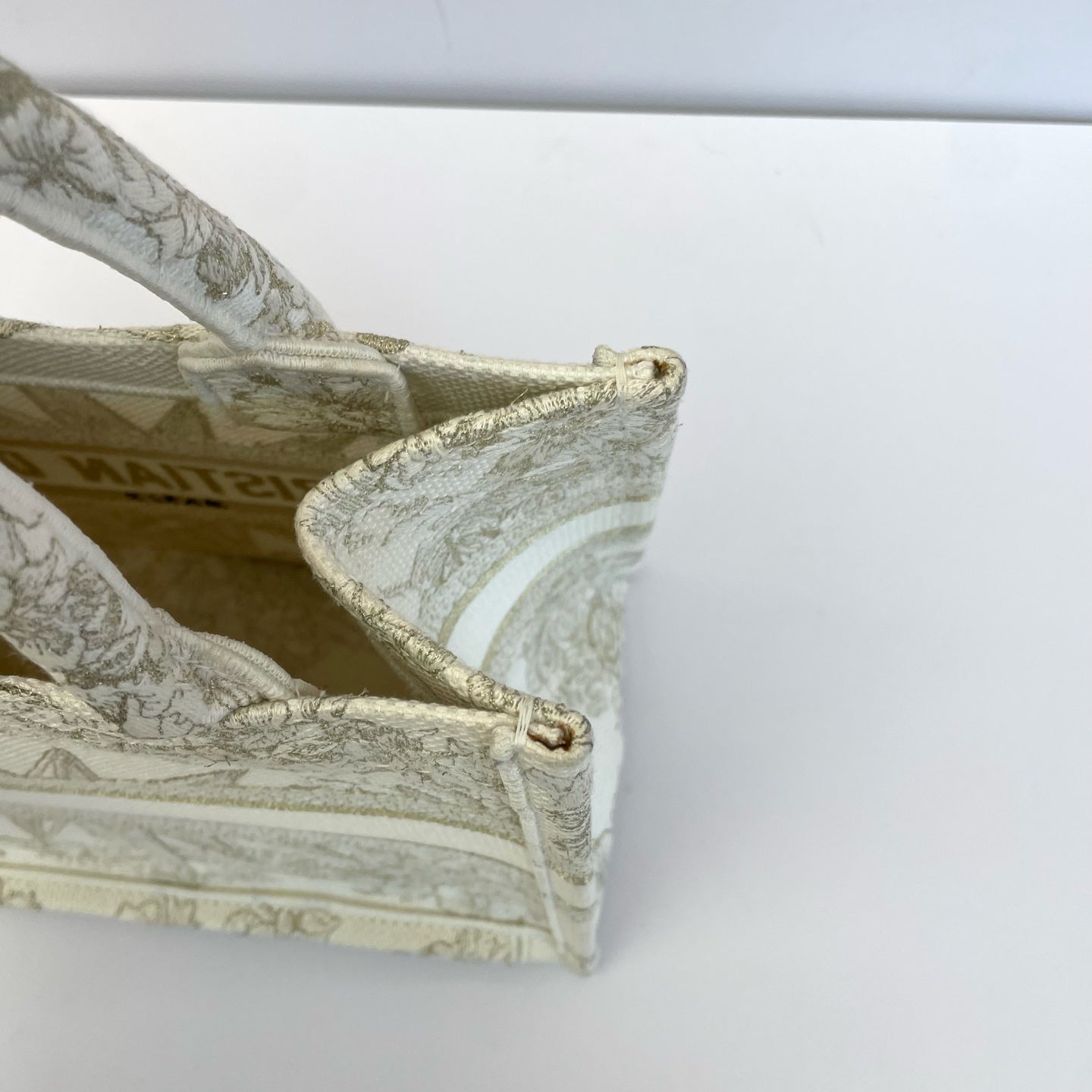 Dior Canvas Gold