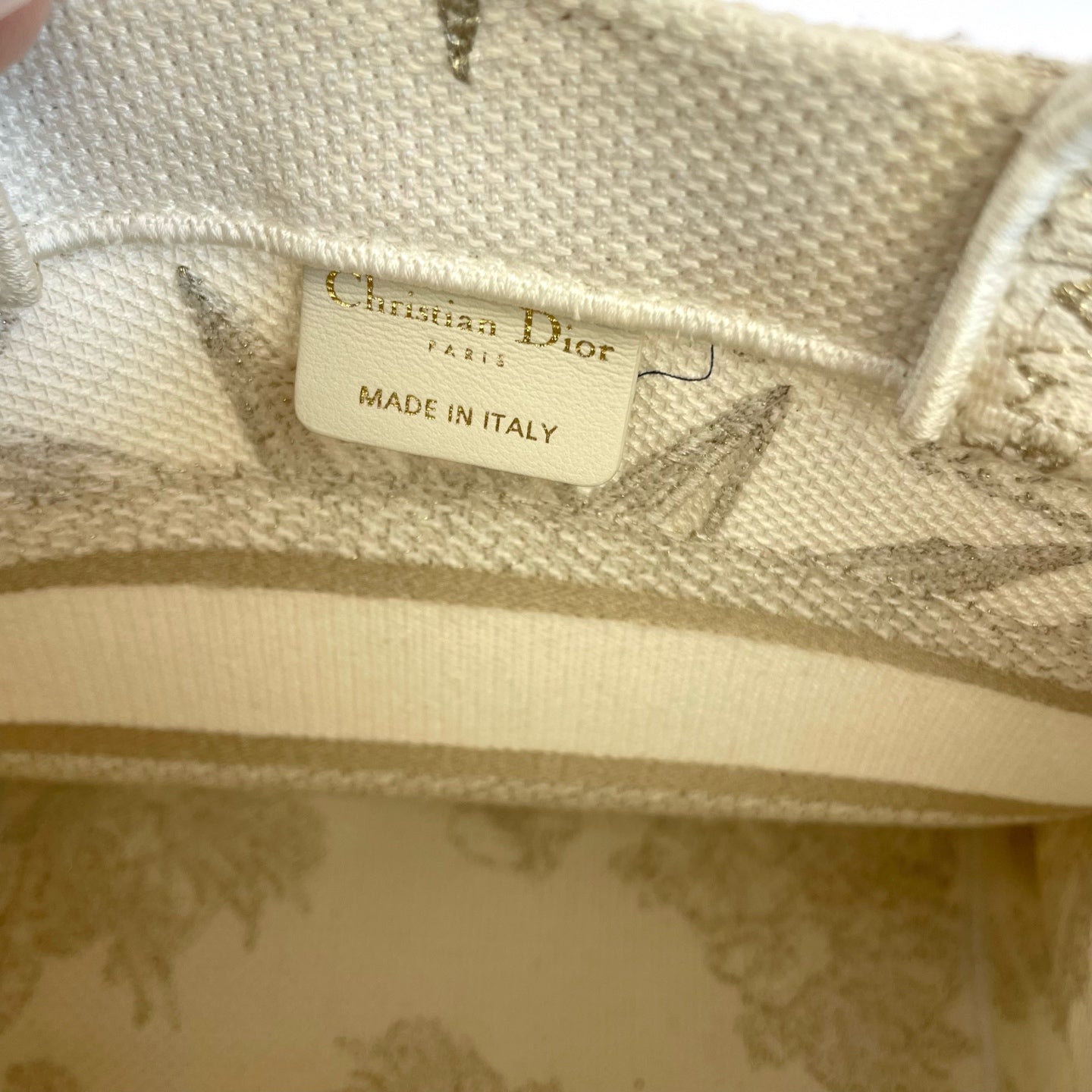 Dior Canvas Gold
