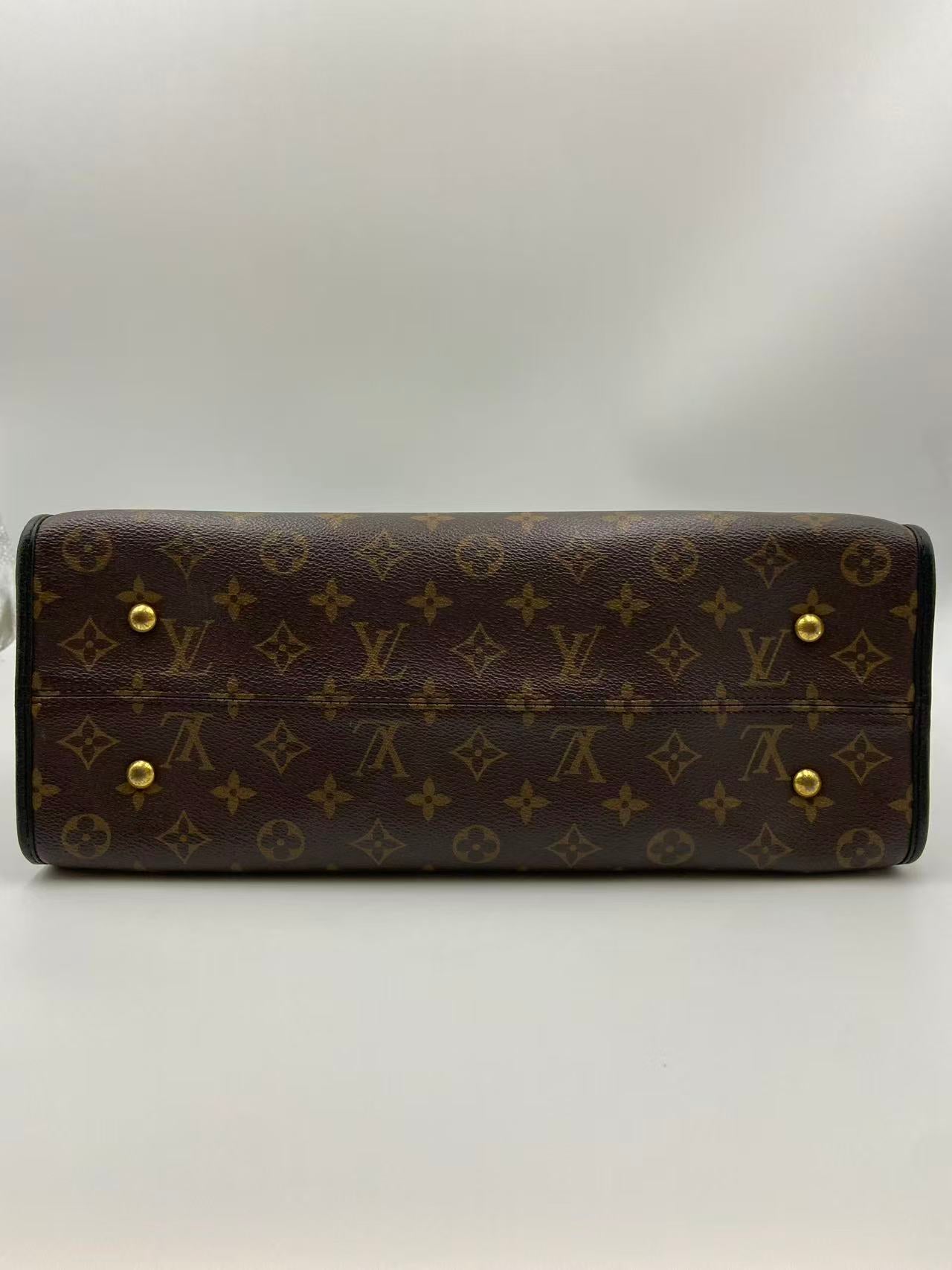 Louis Vuitton Canvas