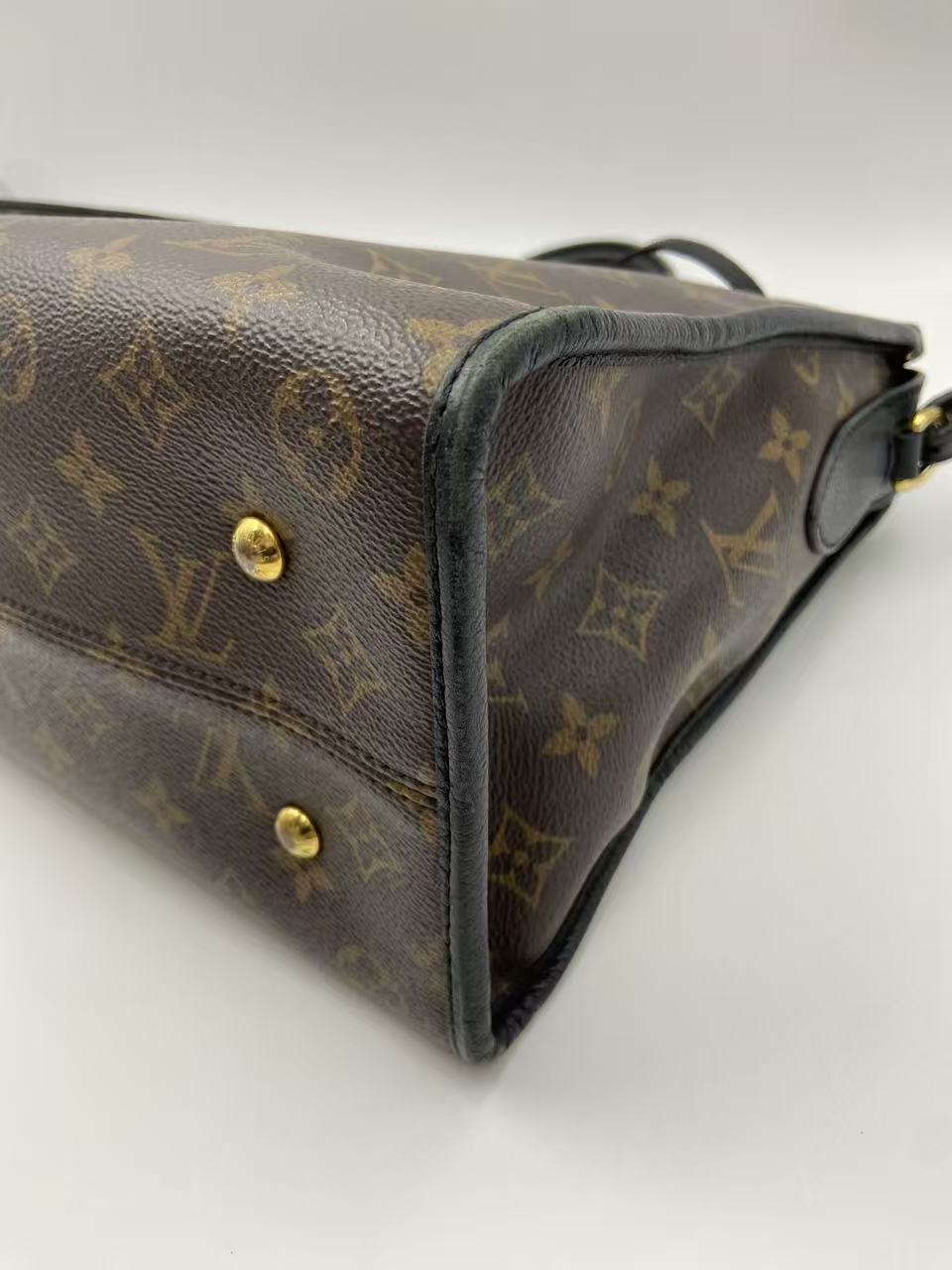 Louis Vuitton Canvas