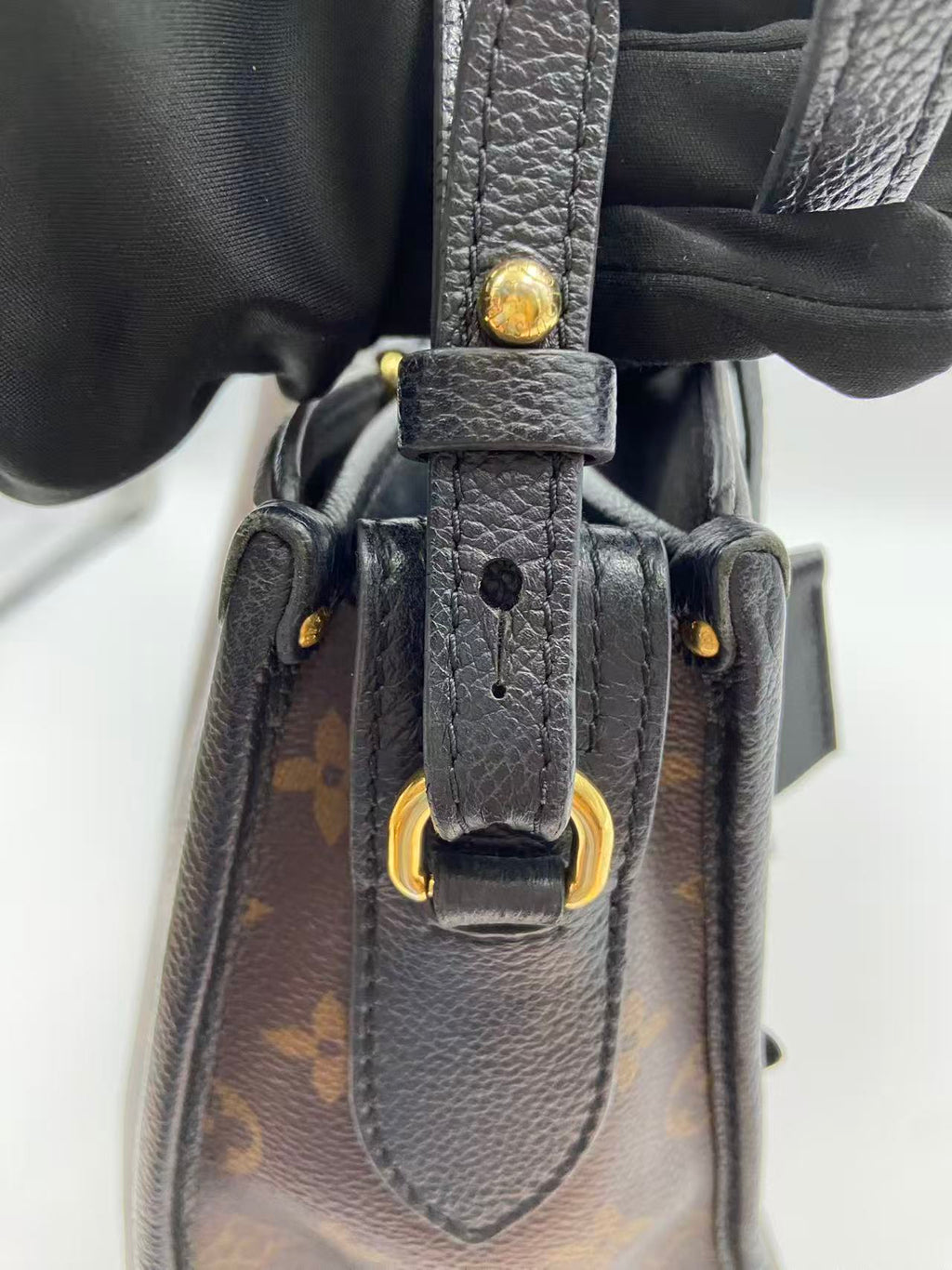 Louis Vuitton Canvas
