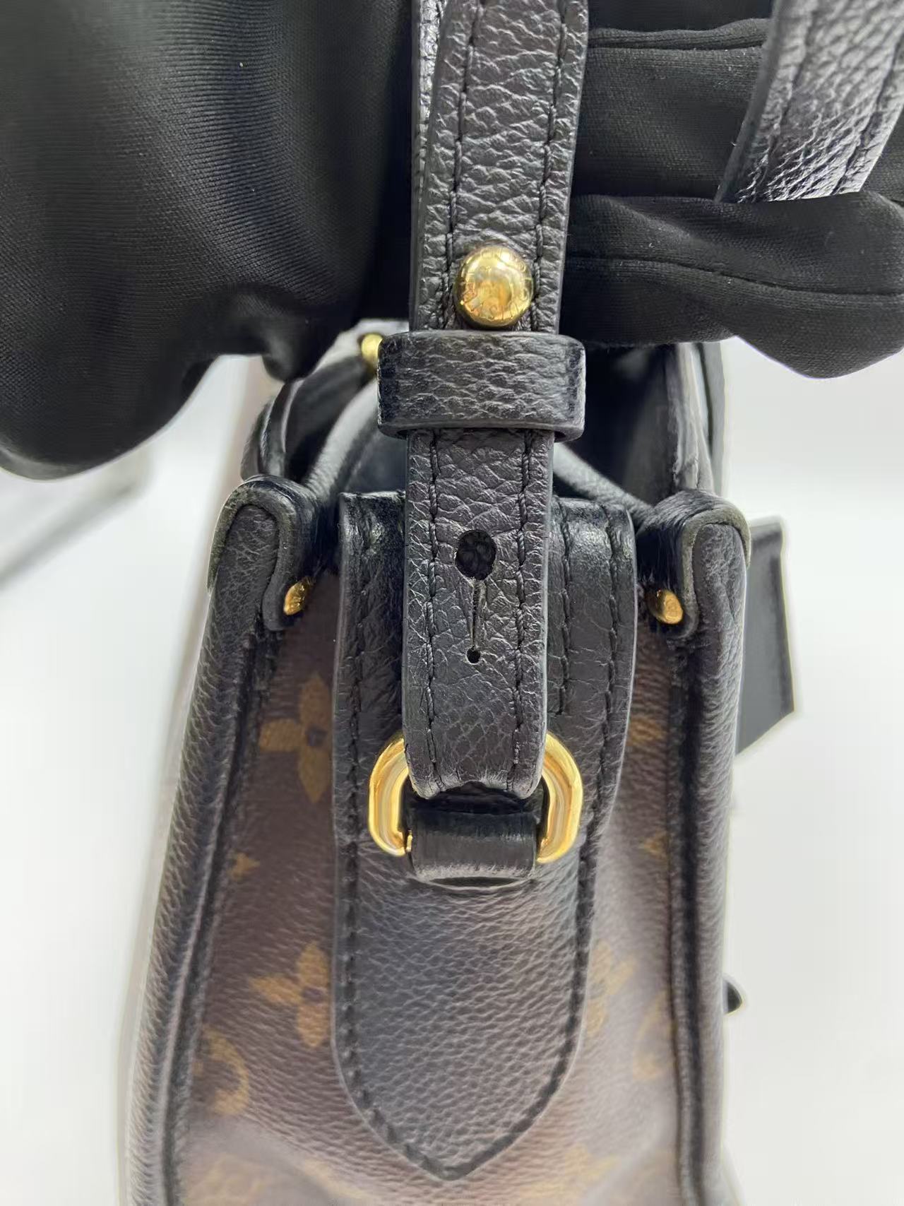 Louis Vuitton Canvas