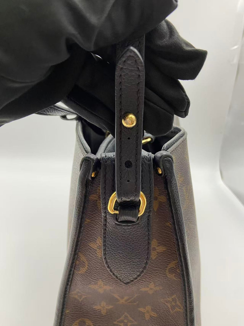 Louis Vuitton Canvas