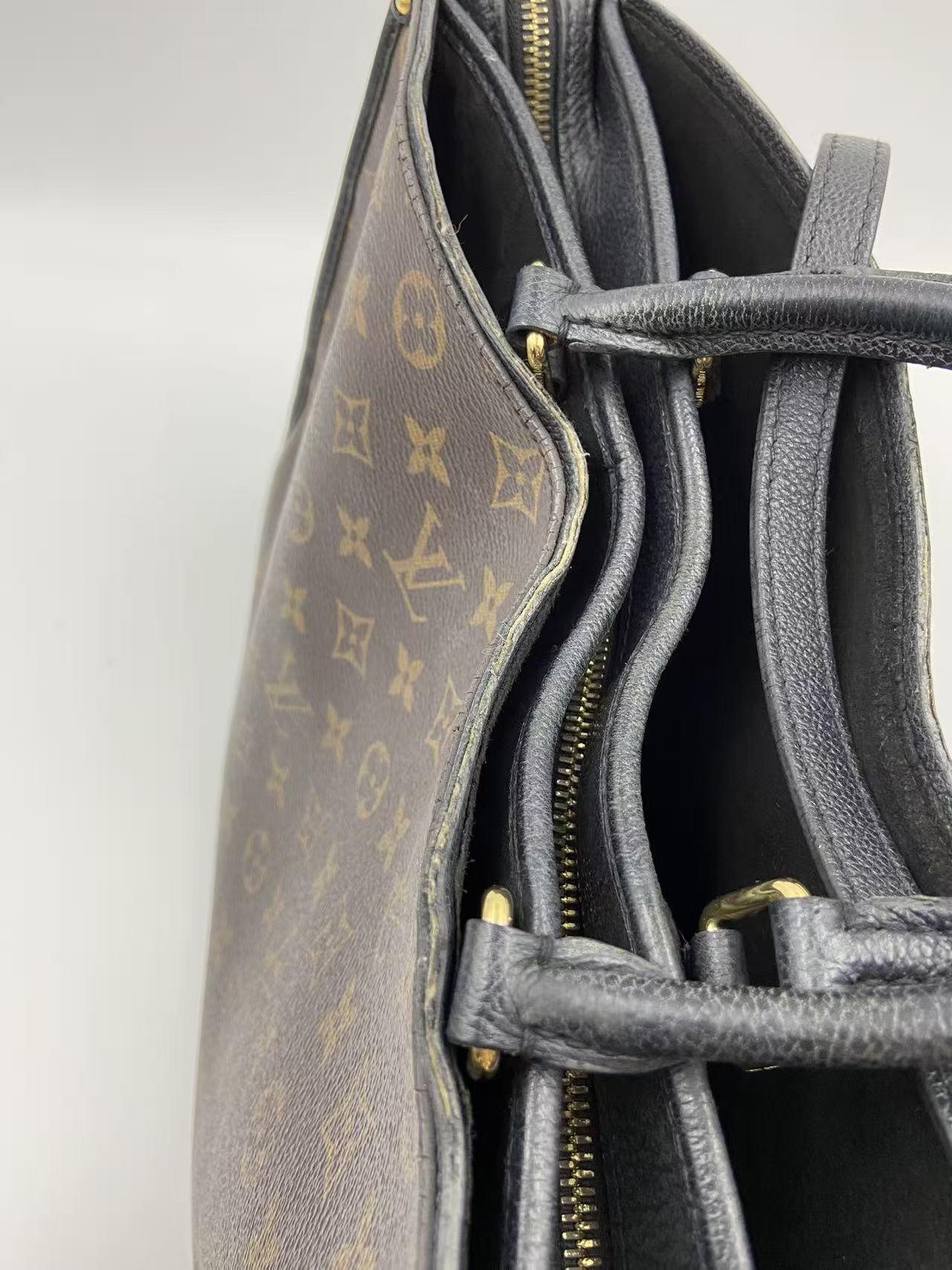Louis Vuitton Canvas
