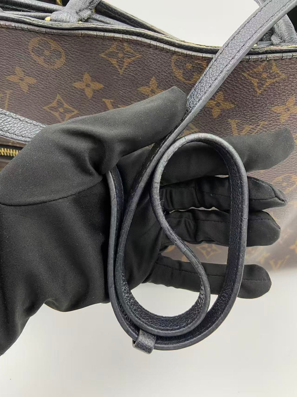 Louis Vuitton Canvas