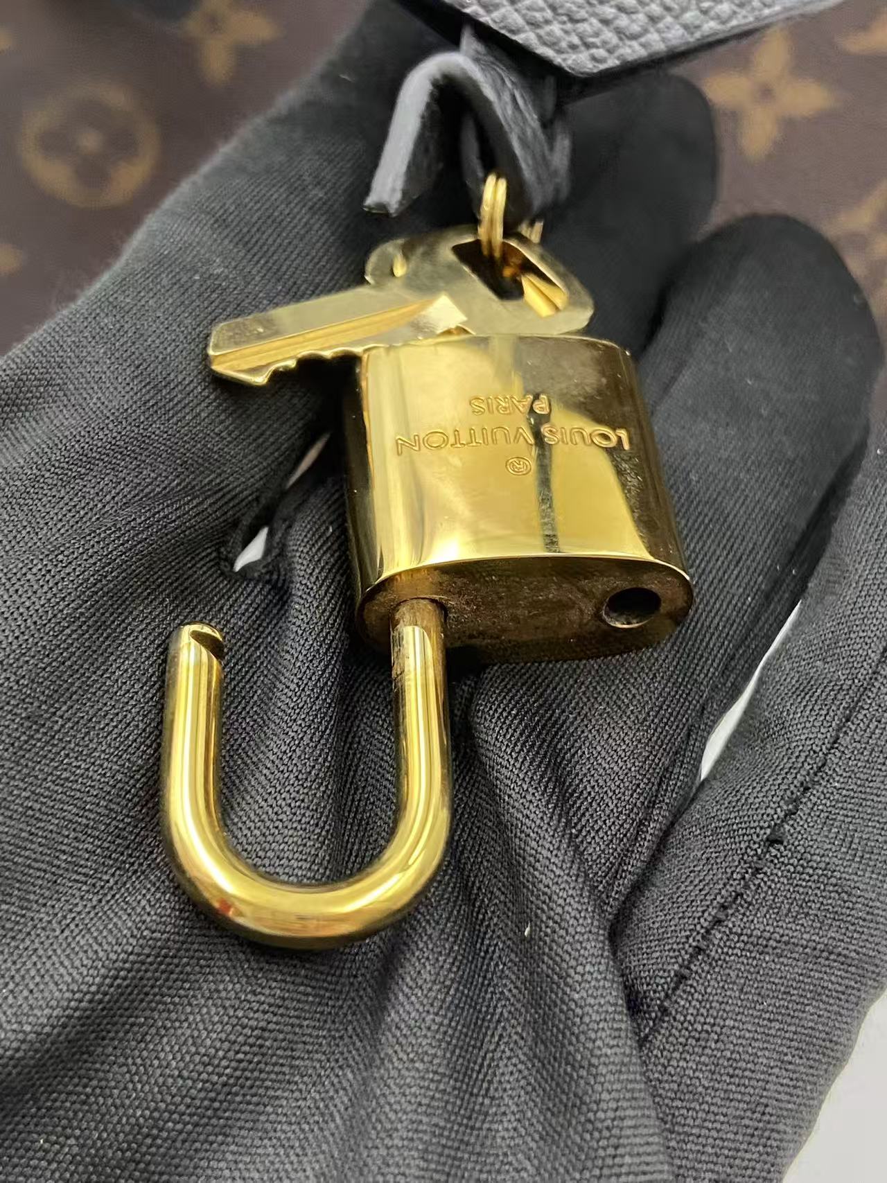 Louis Vuitton Canvas