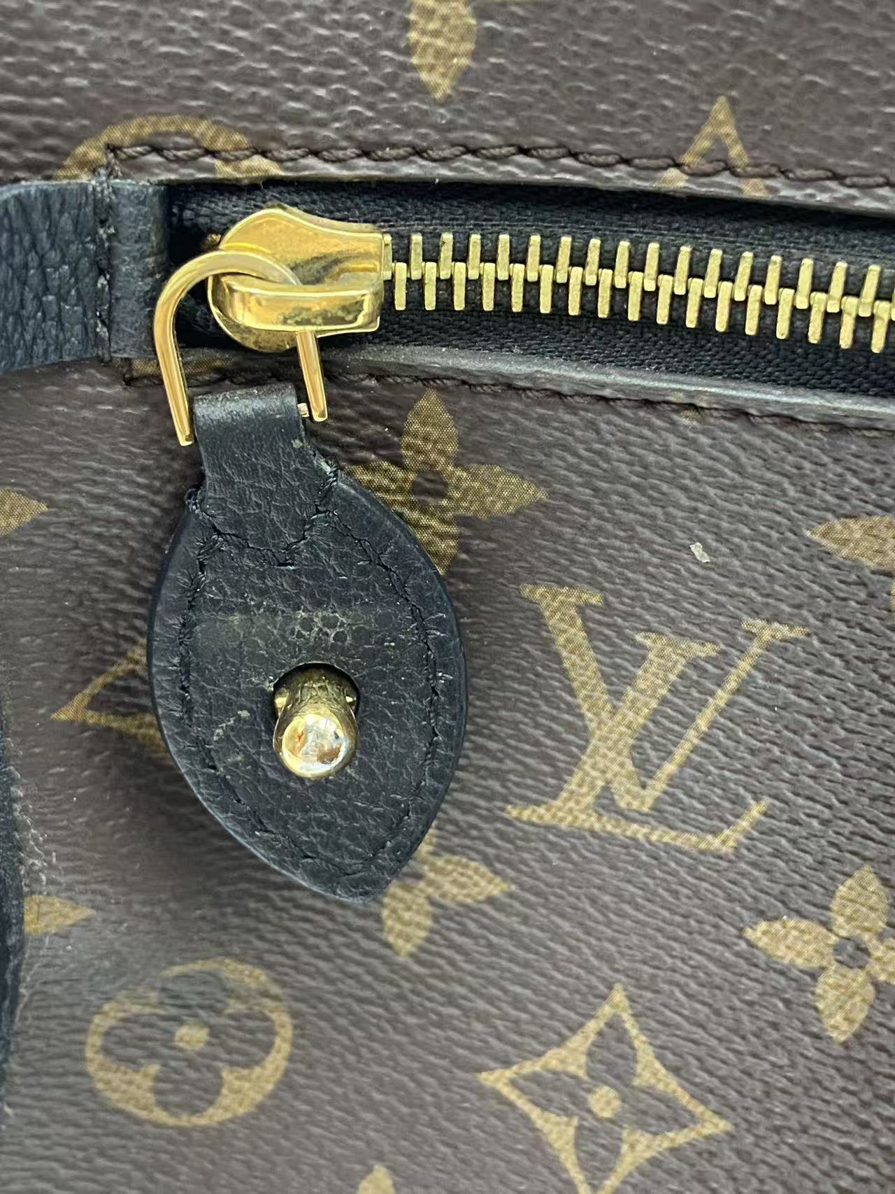 Louis Vuitton Canvas