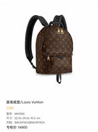 Louis Vuitton Backpack