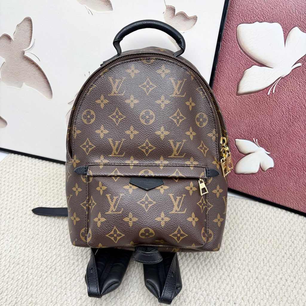 Louis Vuitton Backpack