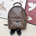 Louis Vuitton Backpack