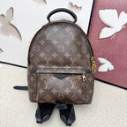 Louis Vuitton Backpack