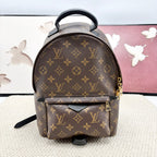 Louis Vuitton Backpack