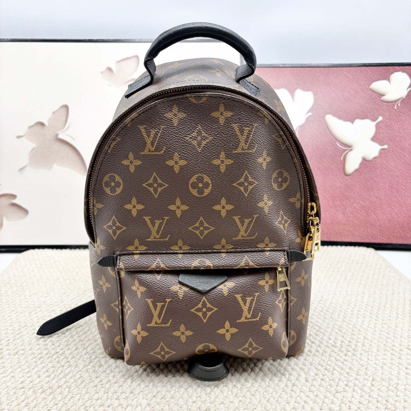 Louis Vuitton Backpack
