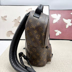 Louis Vuitton Backpack