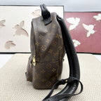 Louis Vuitton Backpack