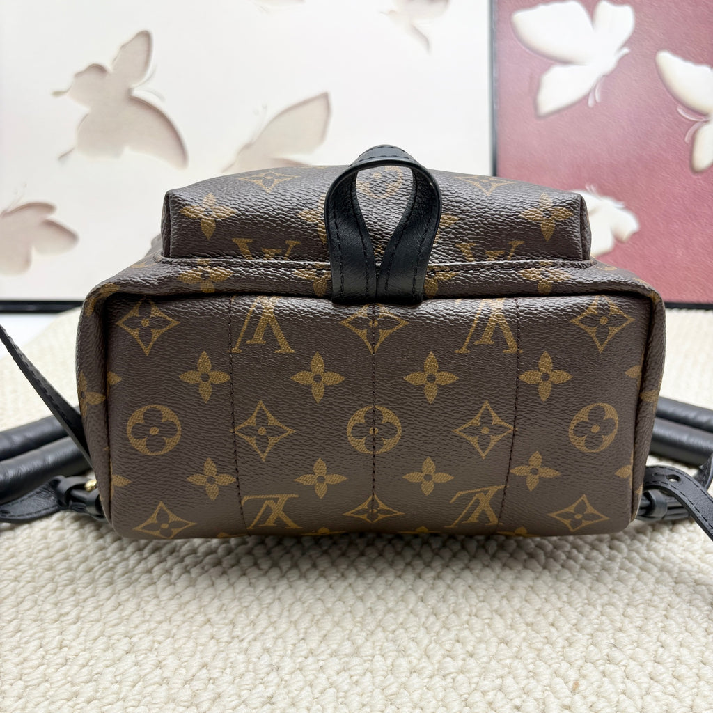 Louis Vuitton Backpack