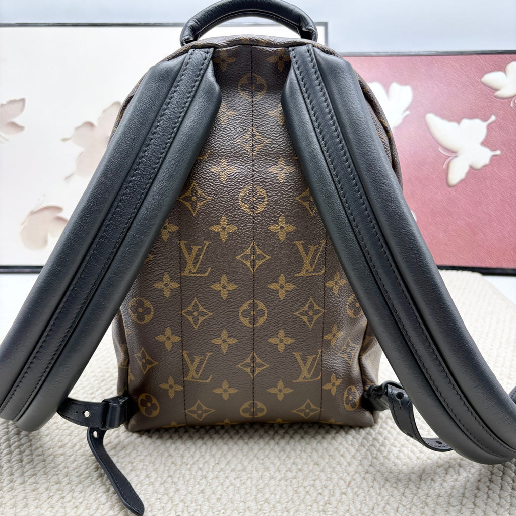 Louis Vuitton Backpack