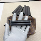 Louis Vuitton Backpack