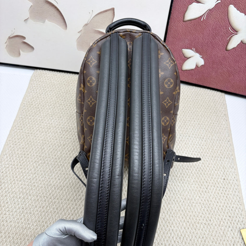 Louis Vuitton Backpack
