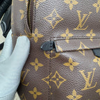 Louis Vuitton Backpack