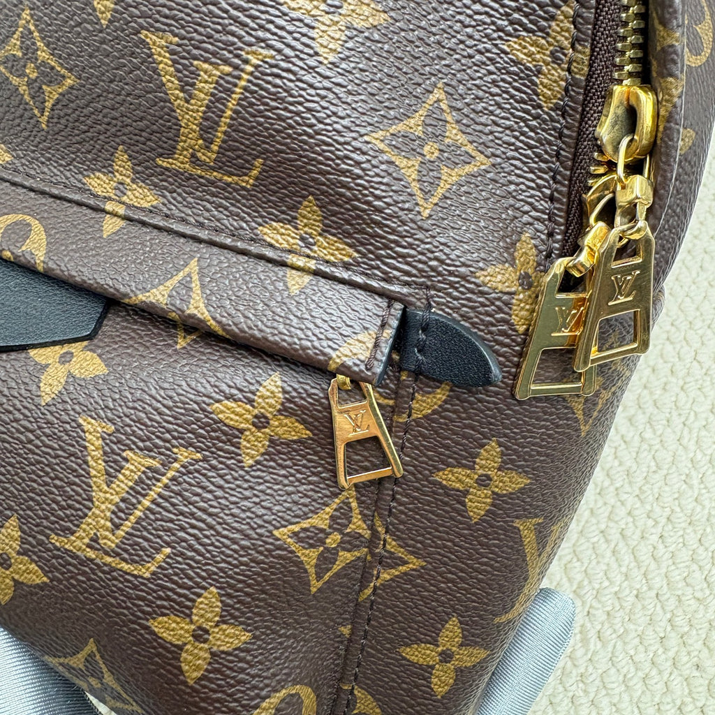 Louis Vuitton Backpack