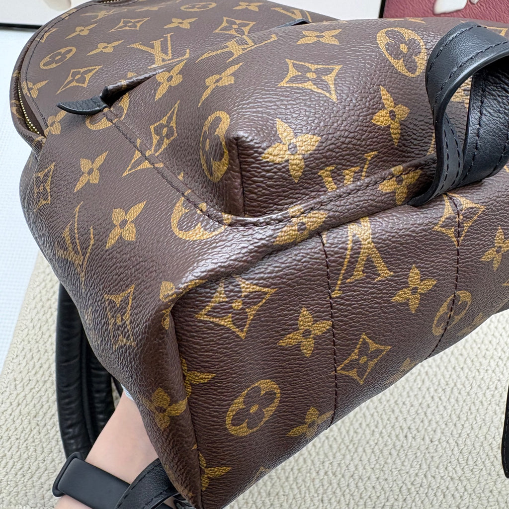Louis Vuitton Backpack