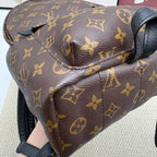 Louis Vuitton Backpack